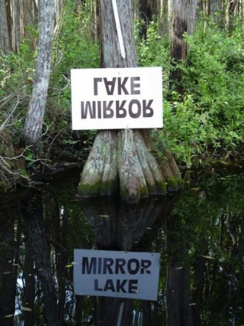 Mirror lake