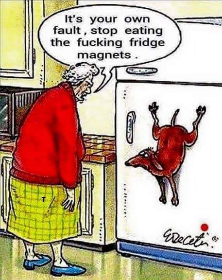 fridge-magnets