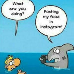 Posting my food on Instagram